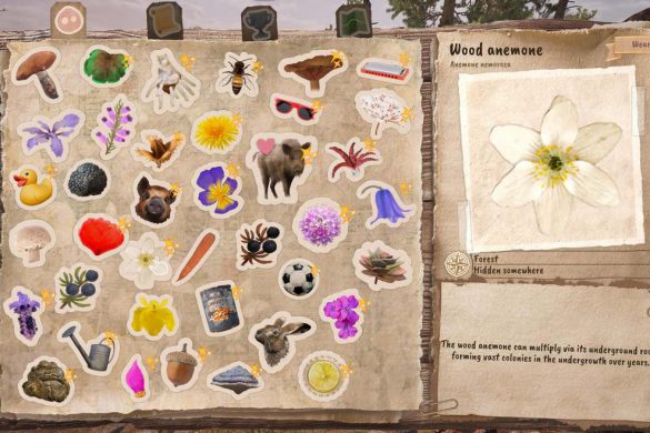Adorable Adventures2