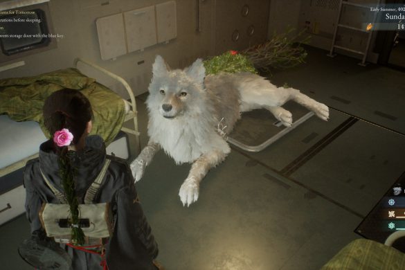 Beast of Reincarnation (10)